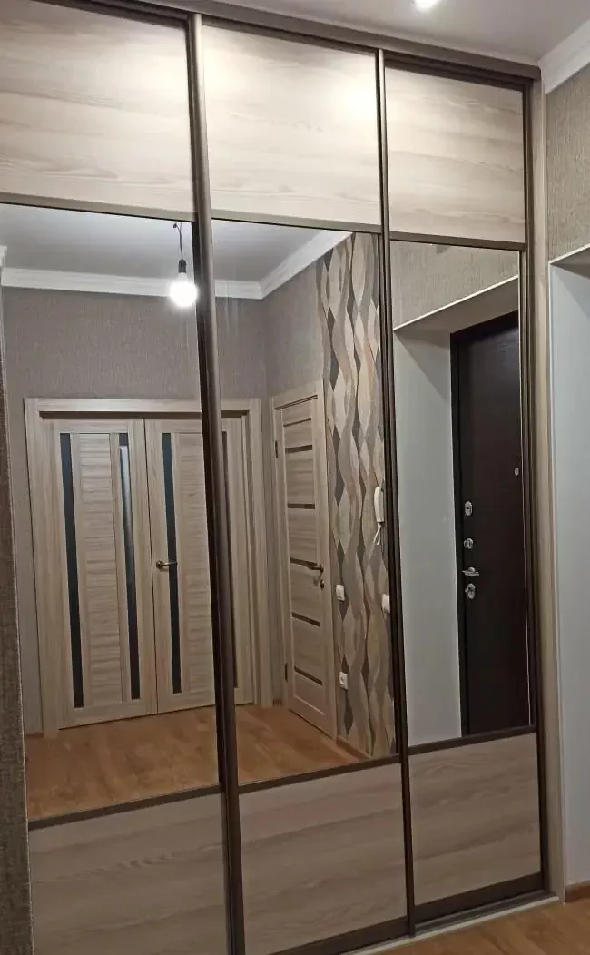 Зеркальная дверь шкафа-купе и полки в прихожей